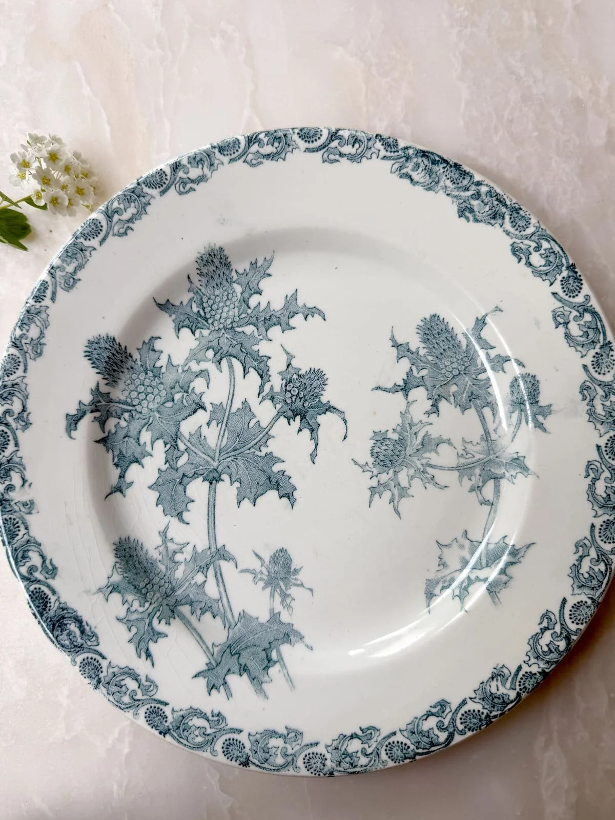 TERRE DE FER コレクション陶器 19th Century Antique French Ironstone Blue Floral Terre de Fer Plates